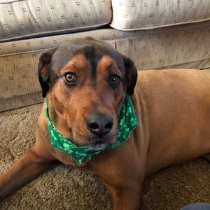 Meet your Posher, Ralph